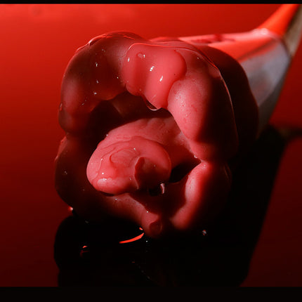 471119cf-6a8d-4851-bb9b-008d47421263