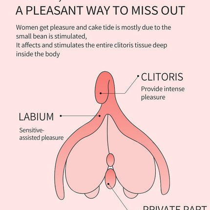 c3f76f2e-0a98-45c3-ba7a-5c0802938804