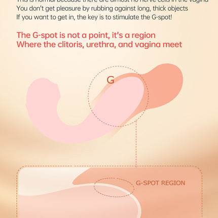 5c5245d6-000f-484b-a0ea-4f2b59a19bd7